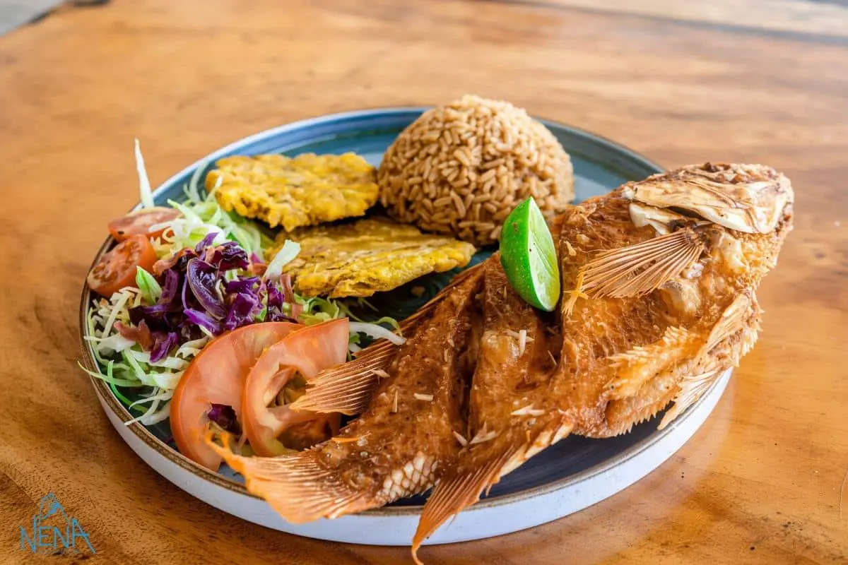 Nena Beach Cartagena - Image 16